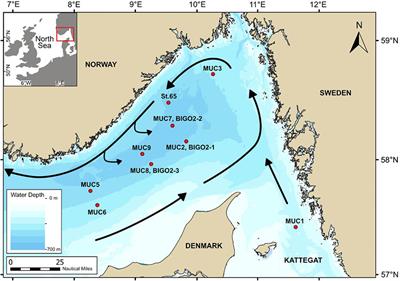 Biogenic silica cycling in the Skagerrak